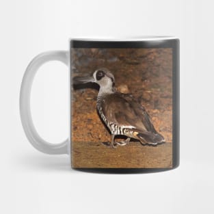 Pink Eared Duck - by South Australian artist Avril Thomas at Magpie Springs Mug